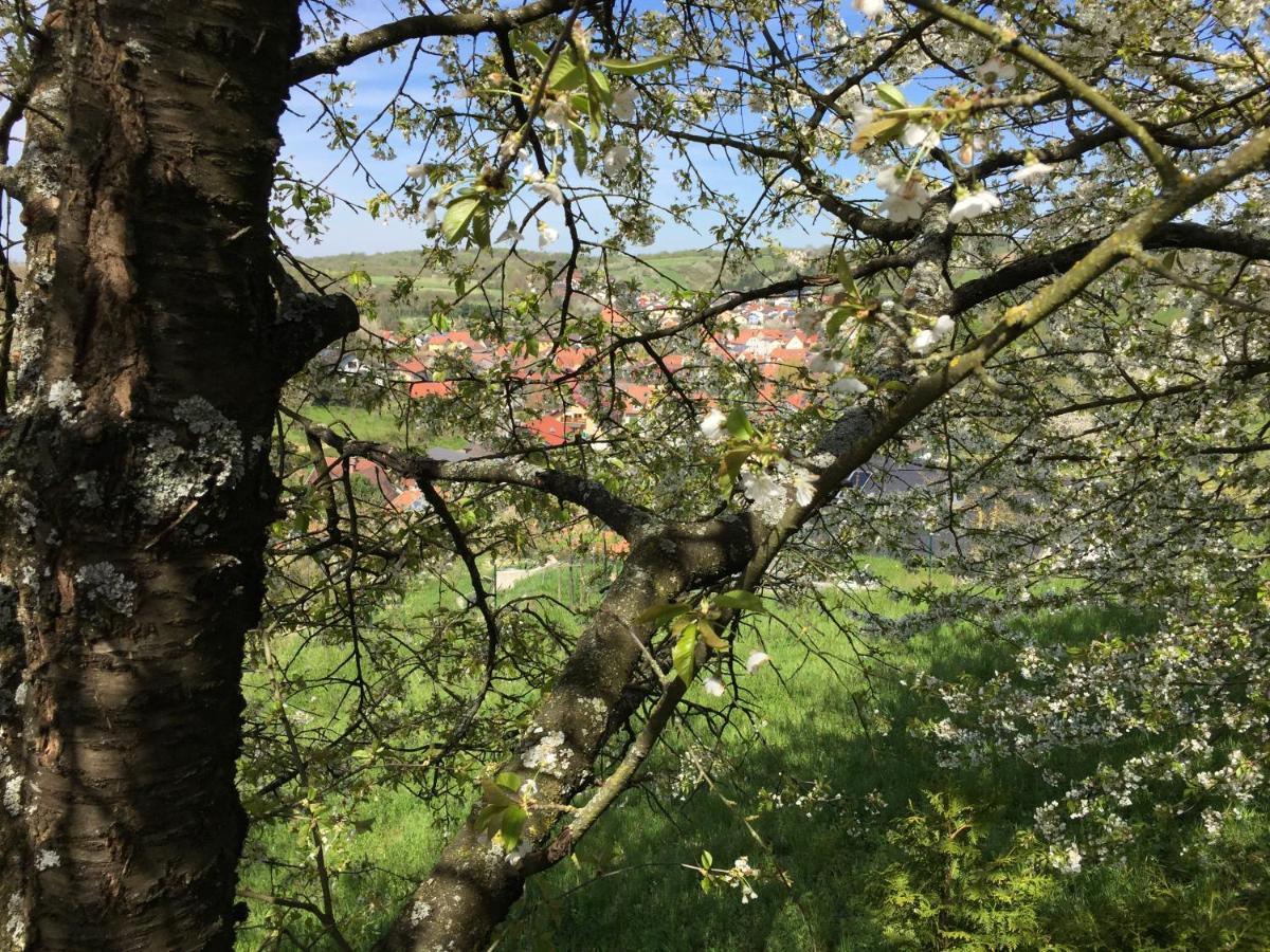 Sweetsuites 40A Lavendelhaus Mühlhausen 외부 사진