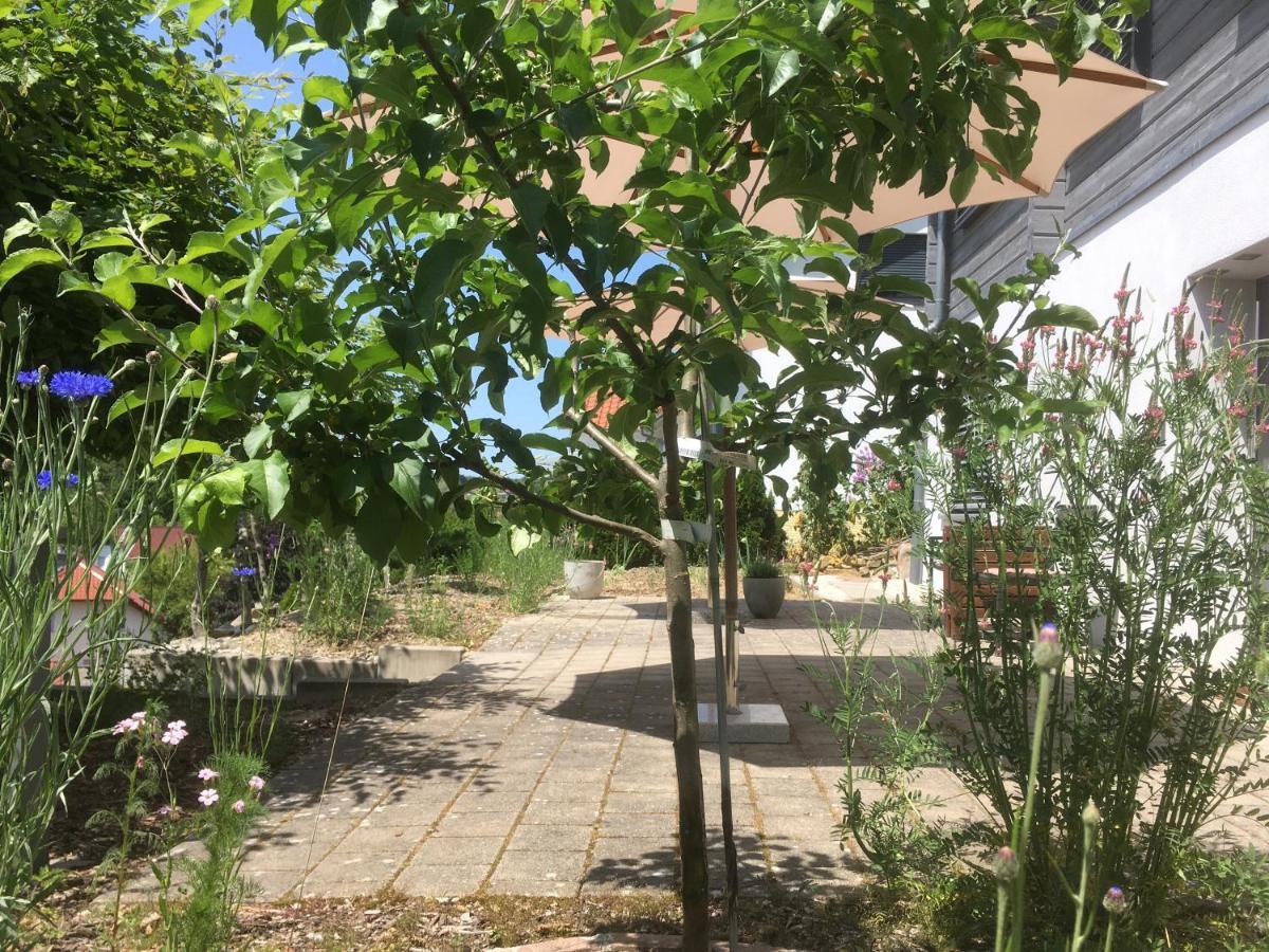 Sweetsuites 40A Lavendelhaus Mühlhausen 외부 사진